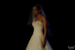 Salon du Mariage 2016   