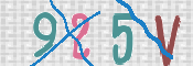 Image Anti-spam